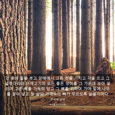 Picture 03 - 에스겔 24:4 KOR - 건 후에 물을 붓고 양떼에서 고른 - Bible Verse Picture