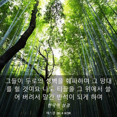 Picture 03 - 에스겔 26:4 KOR - 그들이 두로의 성벽을 훼파하며 그 - Bible Verse Picture