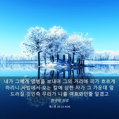 Picture 03 - 에스겔 28:23 KOR - 내가 그에게 염병을 보내며 그의 - Bible Verse Picture
