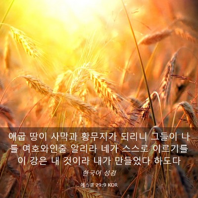 Picture 03 - 에스겔 29:9 KOR - 애굽 땅이 사막과 황무지가 되리니 - Bible Verse Picture