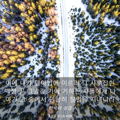 Picture 03 - 에스겔 3:15 KOR - 이에 내가 델아빕에 이르러 그 - Bible Verse Picture