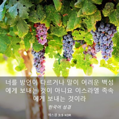 Picture 03 - 에스겔 3:5 KOR - 너를 방언이 다르거나 말이 어려운 - Bible Verse Picture