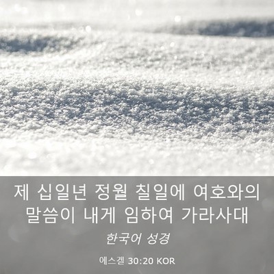 Picture 03 - 에스겔 30:20 KOR - 제 십일년 정월 칠일에 여호와의 - Bible Verse Picture