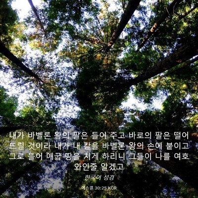 Picture 03 - 에스겔 30:25 KOR - 내가 바벨론 왕의 팔은 들어 주고 - Bible Verse Picture