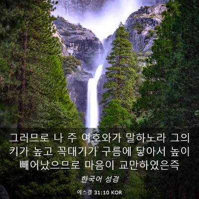 Picture 03 - 에스겔 31:10 KOR - 그러므로 나 주 여호와가 말하노라 - Bible Verse Picture