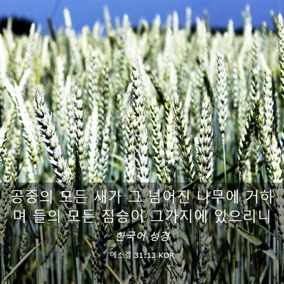 Picture 03 - 에스겔 31:13 KOR - 공중의 모든 새가 그 넘어진 나무에 - Bible Verse Picture