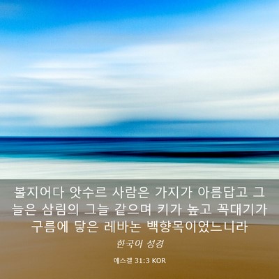 Picture 03 - 에스겔 31:3 KOR - 볼지어다 앗수르 사람은 가지가 - Bible Verse Picture