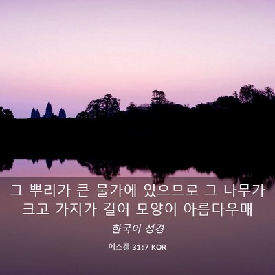 Picture 03 - 에스겔 31:7 KOR - 그 뿌리가 큰 물가에 있으므로 그 - Bible Verse Picture