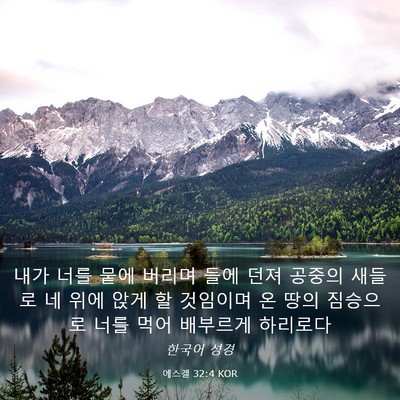 Picture 03 - 에스겔 32:4 KOR - 내가 너를 뭍에 버리며 들에 던져 - Bible Verse Picture