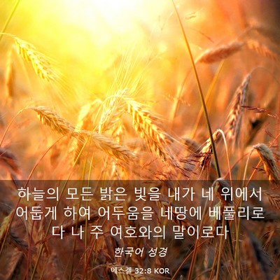 Picture 03 - 에스겔 32:8 KOR - 하늘의 모든 밝은 빛을 내가 네 - Bible Verse Picture