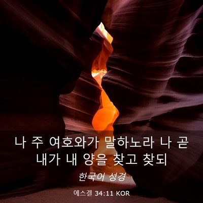 Picture 03 - 에스겔 34:11 KOR - 나 주 여호와가 말하노라 나 곧 내가 - Bible Verse Picture