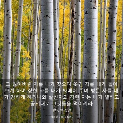 Picture 03 - 에스겔 34:16 KOR - 그 잃어버린 자를 내가 찾으며 쫓긴 - Bible Verse Picture