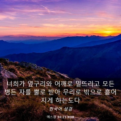Picture 03 - 에스겔 34:21 KOR - 너희가 옆구리와 어깨로 밀뜨리고 - Bible Verse Picture