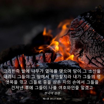 Picture 03 - 에스겔 34:27 KOR - 그리한즉 밭에 나무가 열매를 맺으며 - Bible Verse Picture