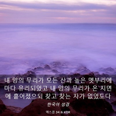 Picture 03 - 에스겔 34:6 KOR - 내 양의 무리가 모든 산과 높은 - Bible Verse Picture