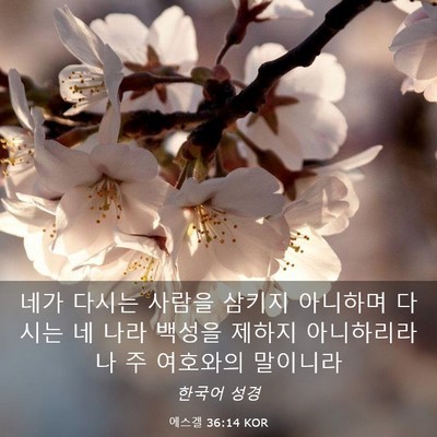 Picture 03 - 에스겔 36:14 KOR - 네가 다시는 사람을 삼키지 아니하며 - Bible Verse Picture