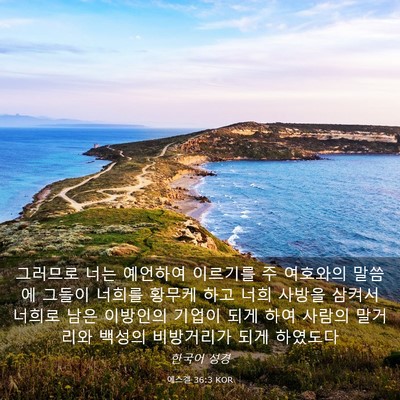 Picture 03 - 에스겔 36:3 KOR - 그러므로 너는 예언하여 이르기를 주 - Bible Verse Picture
