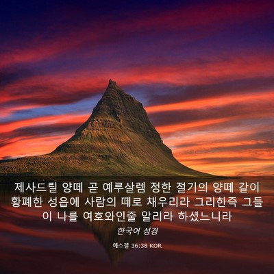 Picture 03 - 에스겔 36:38 KOR - 제사드릴 양떼 곧 예루살렘 정한 - Bible Verse Picture