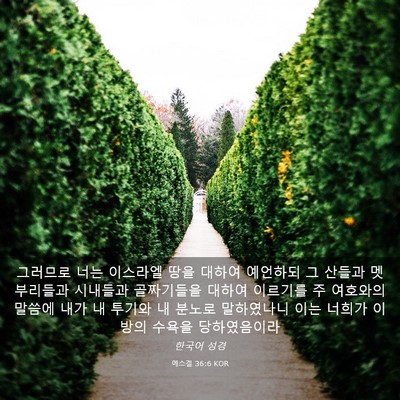 Picture 03 - 에스겔 36:6 KOR - 그러므로 너는 이스라엘 땅을 대하여 - Bible Verse Picture