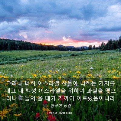 Picture 03 - 에스겔 36:8 KOR - 그러나 너희 이스라엘 산들아 너희는 - Bible Verse Picture