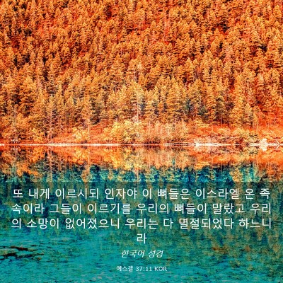 Picture 03 - 에스겔 37:11 KOR - 또 내게 이르시되 인자야 이 뼈들은 - Bible Verse Picture
