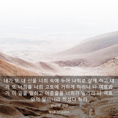 Picture 03 - 에스겔 37:14 KOR - 내가 또 내 신을 너희 속에 두어 - Bible Verse Picture