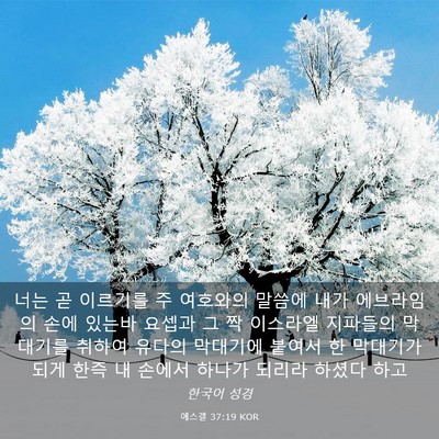 Picture 03 - 에스겔 37:19 KOR - 너는 곧 이르기를 주 여호와의 - Bible Verse Picture