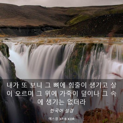 Picture 03 - 에스겔 37:8 KOR - 내가 또 보니 그 뼈에 힘줄이 생기고 - Bible Verse Picture