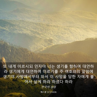Picture 03 - 에스겔 37:9 KOR - 또 내게 이르시되 인자야 너는 - Bible Verse Picture