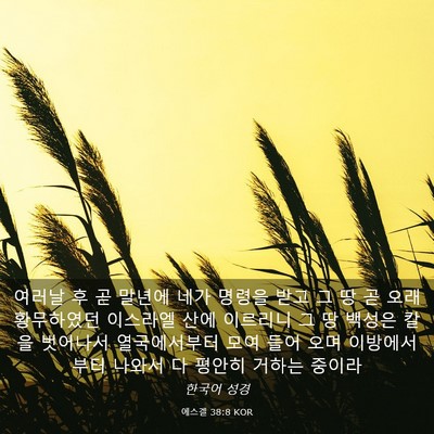 Picture 03 - 에스겔 38:8 KOR - 여러날 후 곧 말년에 네가 명령을 - Bible Verse Picture