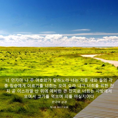 Picture 03 - 에스겔 39:17 KOR - 너 인자야 나 주 여호와가 말하노라 - Bible Verse Picture
