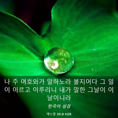 Picture 03 - 에스겔 39:8 KOR - 나 주 여호와가 말하노라 볼지어다 - Bible Verse Picture