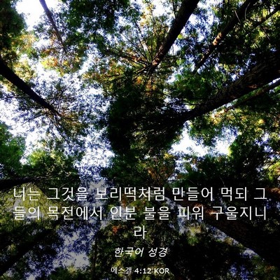 Picture 03 - 에스겔 4:12 KOR - 너는 그것을 보리떡처럼 만들어 먹되 - Bible Verse Picture