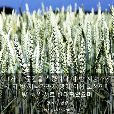 Picture 03 - 에스겔 40:13 KOR - 그가 그 문간을 척량하니 이 방 - Bible Verse Picture