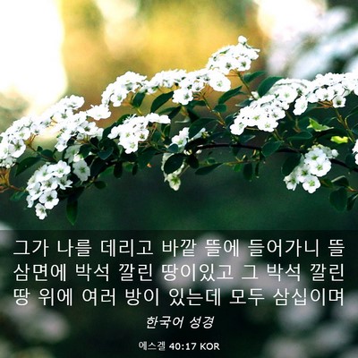 Picture 03 - 에스겔 40:17 KOR - 그가 나를 데리고 바깥 뜰에 - Bible Verse Picture