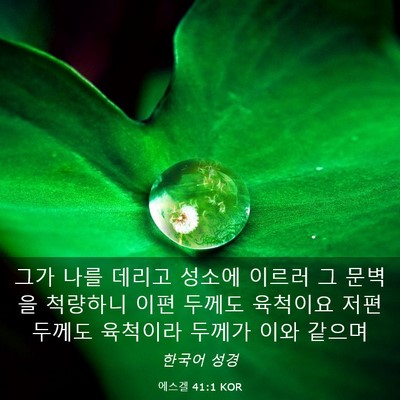 Picture 03 - 에스겔 41:1 KOR - 그가 나를 데리고 성소에 이르러 그 - Bible Verse Picture
