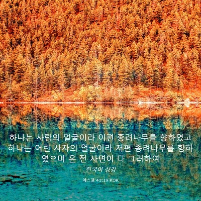 Picture 03 - 에스겔 41:19 KOR - 하나는 사람의 얼굴이라 이편 - Bible Verse Picture