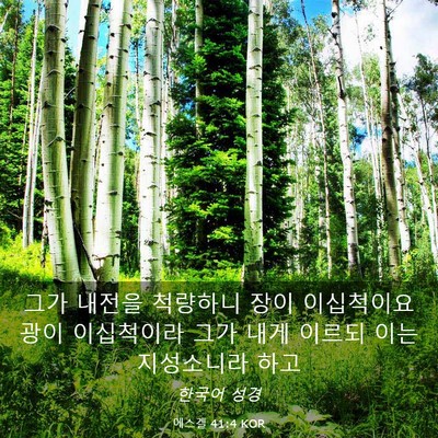 Picture 03 - 에스겔 41:4 KOR - 그가 내전을 척량하니 장이 - Bible Verse Picture