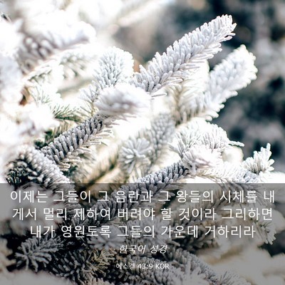 Picture 03 - 에스겔 43:9 KOR - 이제는 그들이 그 음란과 그 왕들의 - Bible Verse Picture