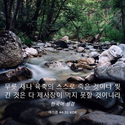 Picture 03 - 에스겔 44:31 KOR - 무릇 새나 육축의 스스로 죽은 - Bible Verse Picture