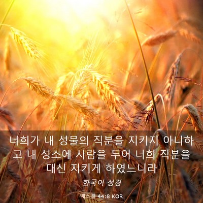 Picture 03 - 에스겔 44:8 KOR - 너희가 내 성물의 직분을 지키지 - Bible Verse Picture