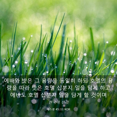 Picture 03 - 에스겔 45:11 KOR - 에바와 밧은 그 용량을 동일히 하되 - Bible Verse Picture