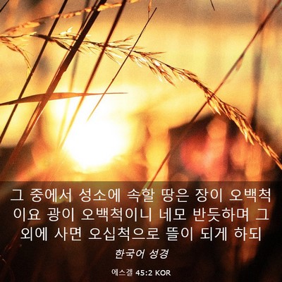 Picture 03 - 에스겔 45:2 KOR - 그 중에서 성소에 속할 땅은 장이 - Bible Verse Picture