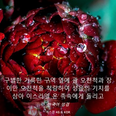 Picture 03 - 에스겔 45:6 KOR - 구별한 거룩한 구역 옆에 광 - Bible Verse Picture