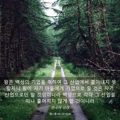 Picture 03 - 에스겔 46:18 KOR - 왕은 백성의 기업을 취하여 그 - Bible Verse Picture