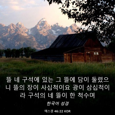 Picture 03 - 에스겔 46:22 KOR - 뜰 네 구석에 있는 그 뜰에 담이 - Bible Verse Picture