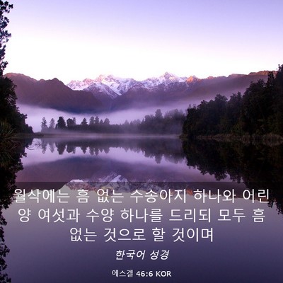 Picture 03 - 에스겔 46:6 KOR - 월삭에는 흠 없는 수송아지 하나와 - Bible Verse Picture