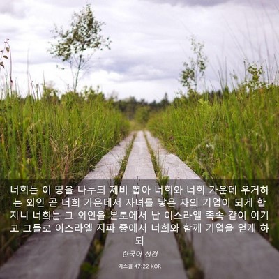 Picture 03 - 에스겔 47:22 KOR - 너희는 이 땅을 나누되 제비 뽑아 - Bible Verse Picture