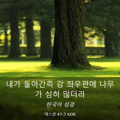 Picture 03 - 에스겔 47:7 KOR - 내가 돌아간즉 강 좌우편에 나무가 - Bible Verse Picture