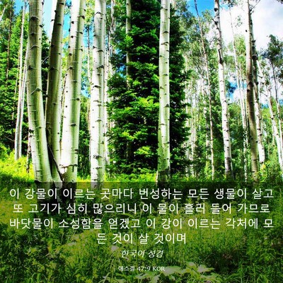 Picture 03 - 에스겔 47:9 KOR - 이 강물이 이르는 곳마다 번성하는 - Bible Verse Picture